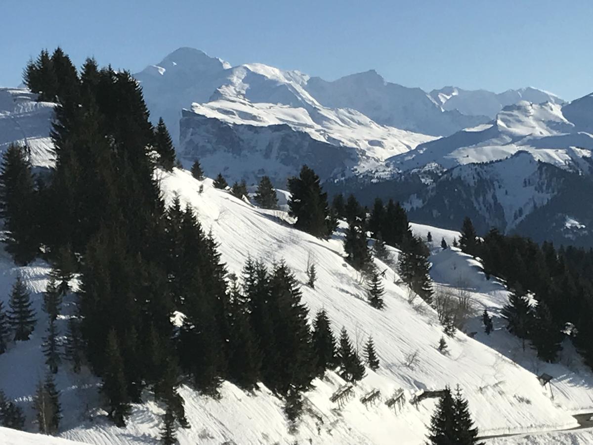 Residence Les Chardons Argentes サモエンヌ エクステリア 写真